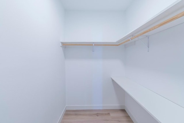 spacious closet with light wood finished floors