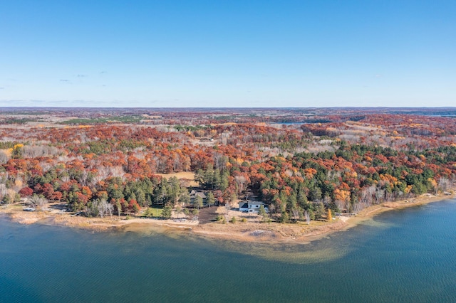 aerial view of a forest and a nearby body of water