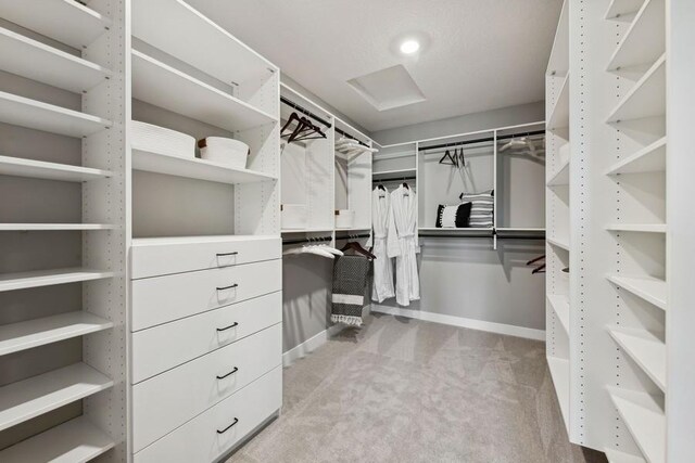 20090 63rd Ave, Corcoran, MN 55340 - spacious closet featuring attic access and carpet floors
