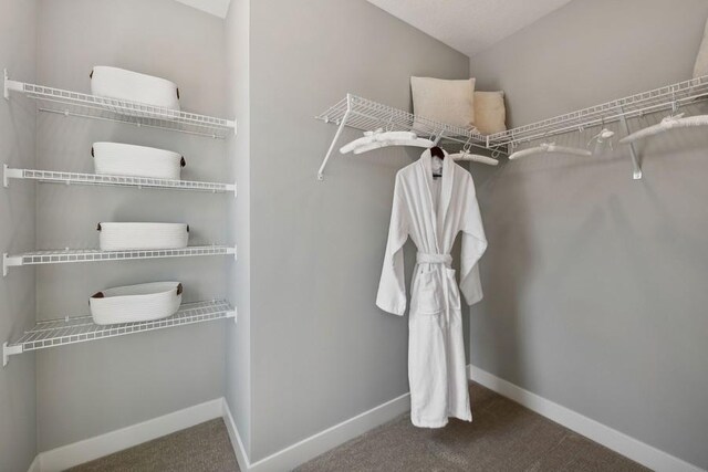 20090 63rd Ave, Corcoran, MN 55340 - walk in closet featuring carpet flooring