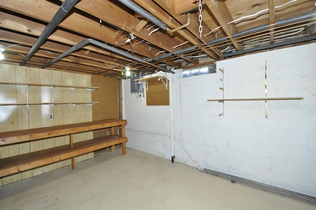 basement with concrete block wall