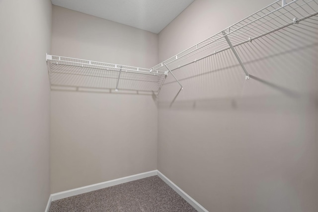 walk in closet featuring carpet