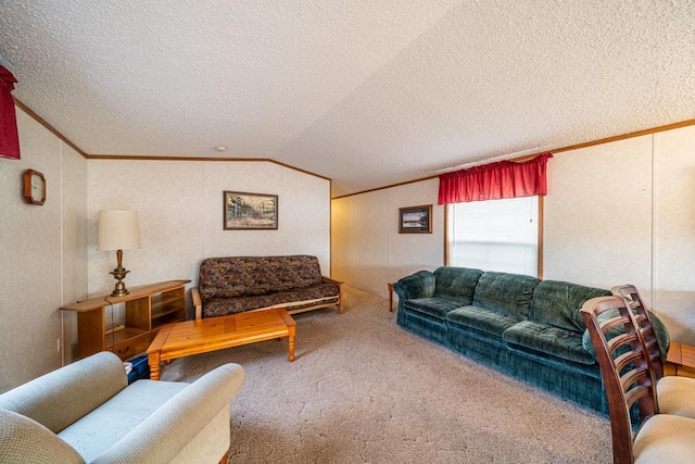 29501 Maplewood Rd Autumn, Unit Autumn, Callaway, MN 56521 - carpeted living area with ornamental molding, lofted ceiling, and a textured ceiling