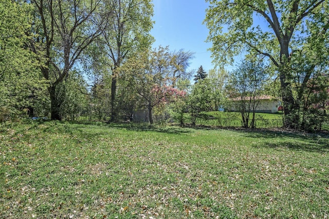 4209 81st Ave N, Brooklyn Park, MN 55443 - view of green lawn
