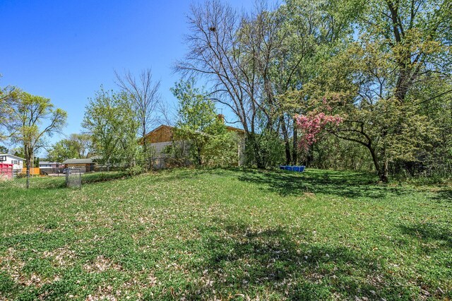 4209 81st Ave N, Brooklyn Park, MN 55443 - view of yard
