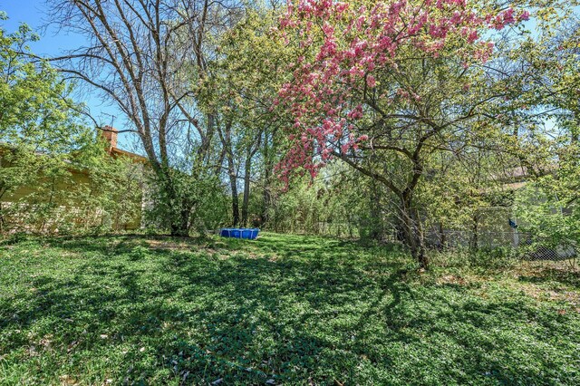 4209 81st Ave N, Brooklyn Park, MN 55443 - view of yard