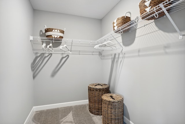 15056 Sycamore St NW, Andover, MN 55304 - spacious closet with carpet floors