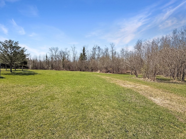 view of grassy yard