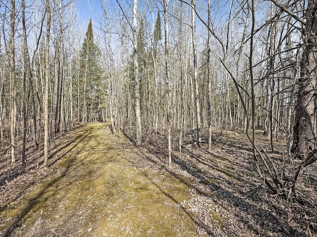 view of undeveloped land