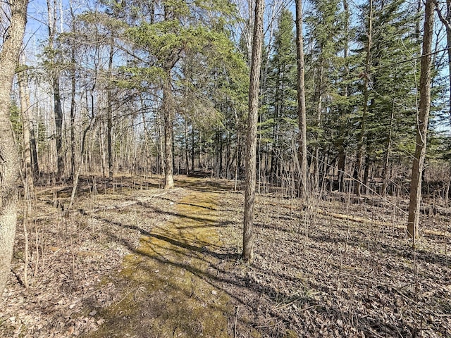 view of wooded area