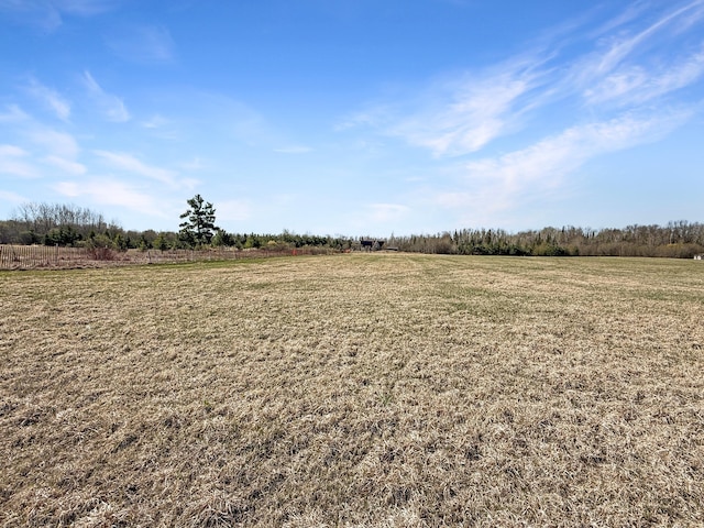 view of undeveloped land with rural landscape
