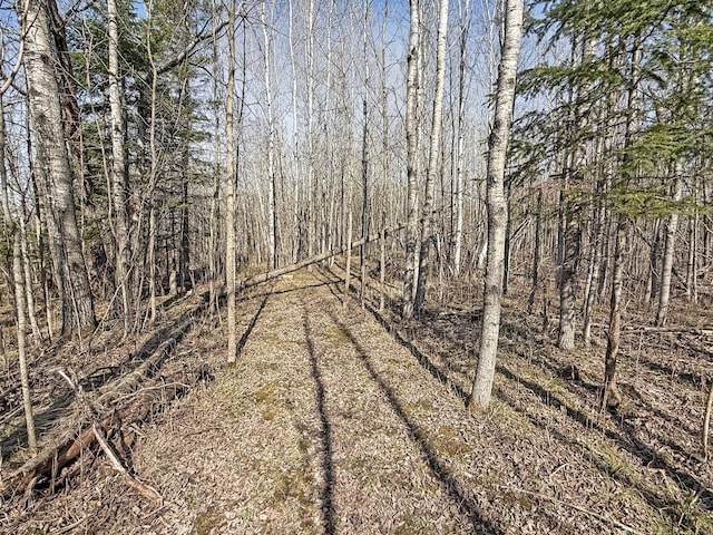 view of local wilderness