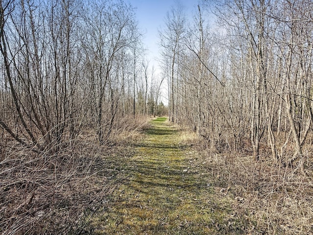 view of undeveloped land