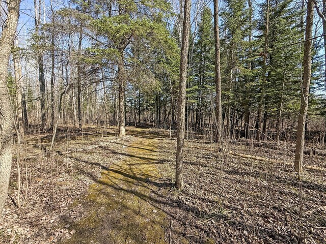 27851 Forty Acre Ln NE, Blackduck, MN 56630 - photo 19