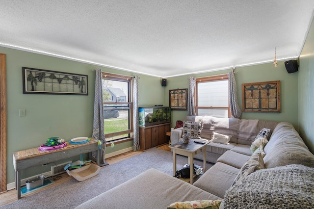 5748 25th Ave S, Minneapolis, MN 55417 - living room with a textured ceiling, baseboards, and wood finished floors