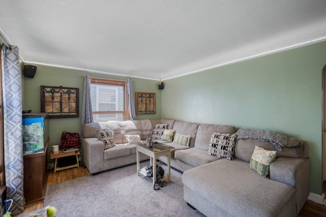 5748 25th Ave S, Minneapolis, MN 55417 - living room with wood finished floors and ornamental molding