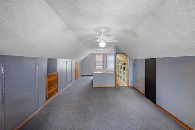 5748 25th Ave S, Minneapolis, MN 55417 - bonus room with baseboards, carpet, lofted ceiling, and a textured ceiling