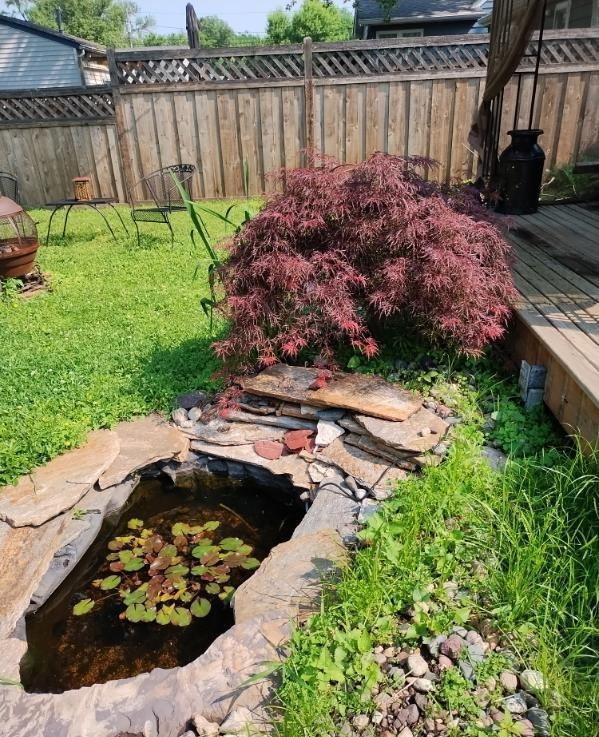 5748 25th Ave S, Minneapolis, MN 55417 - view of yard with a garden pond and a wooden deck
