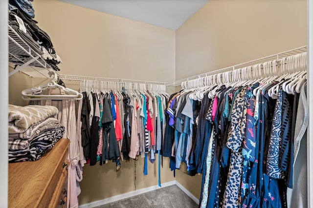 2803 38th St Unit 205, Minneapolis, MN 55406 - spacious closet with carpet flooring