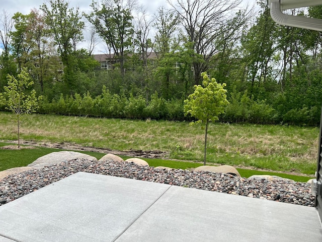 20106 Fitzgerald Trl N, Forest Lake, MN 55025 - view of patio / terrace