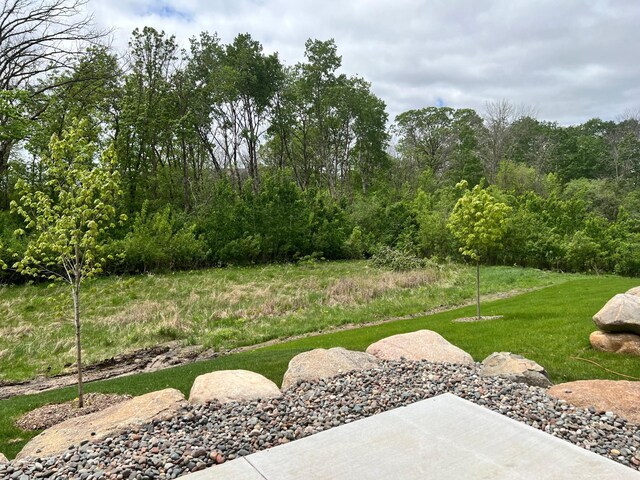 20106 Fitzgerald Trl N, Forest Lake, MN 55025 - view of grassy yard