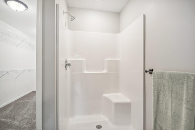 20074 Fitzgerald Trl N, Forest Lake, MN 55025 - bathroom featuring a stall shower and a walk in closet