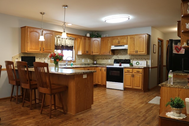 kitchen featuring electric stove, a peninsula, under cabinet range hood, a sink, and backsplash