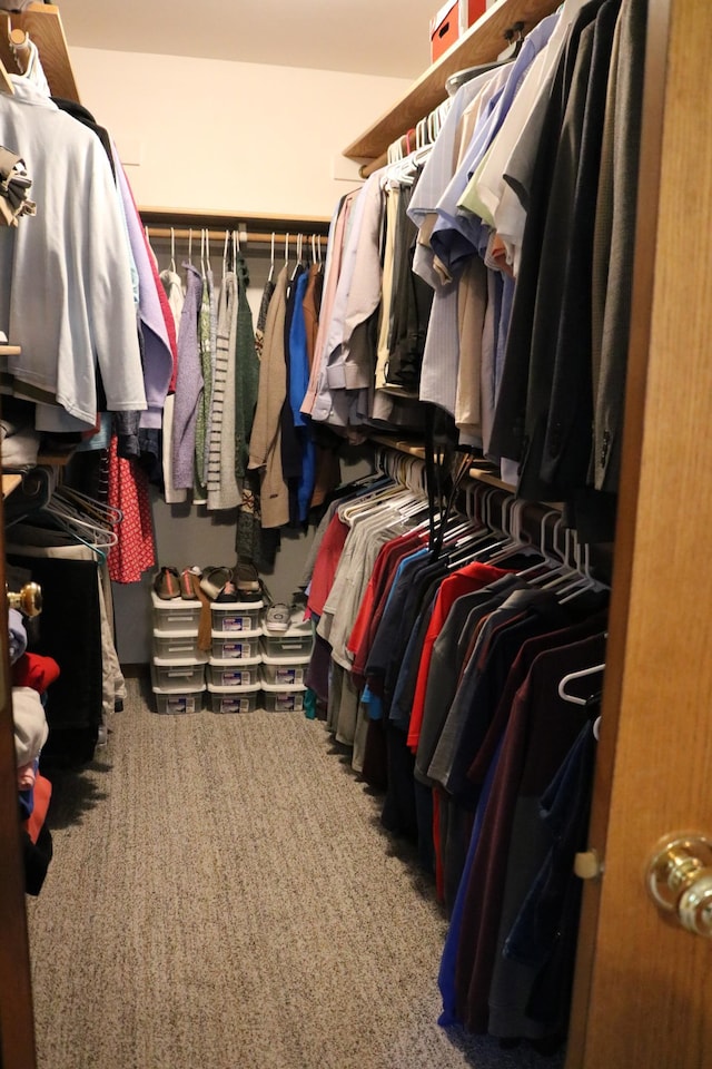 walk in closet featuring carpet flooring