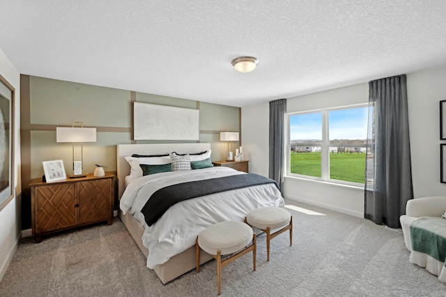 2461 Jandell Ave NE, Saint Michael, MN 55376 - carpeted bedroom featuring baseboards and a textured ceiling