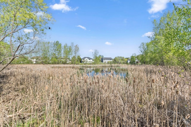 7724 385th St, North Branch, MN 55056 - view of undeveloped land with a nearby body of water