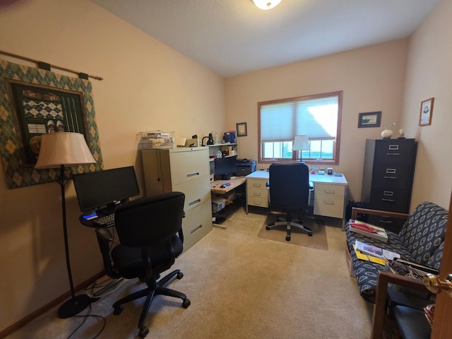 1073 Harvest Way, Lake City, MN 55041 - office featuring light colored carpet
