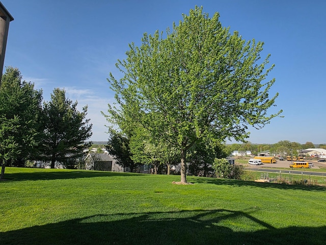 1073 Harvest Way, Lake City, MN 55041 - view of grassy yard
