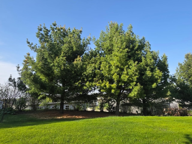1073 Harvest Way, Lake City, MN 55041 - view of grassy yard