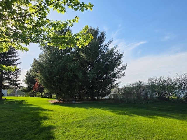 1073 Harvest Way, Lake City, MN 55041 - view of grassy yard
