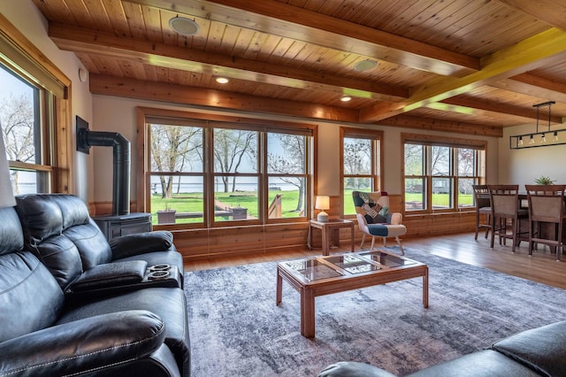 37009 Blarney Beach Rd, Everts Twp, MN 56515 - living area with a wood stove, beamed ceiling, wood finished floors, and wood ceiling