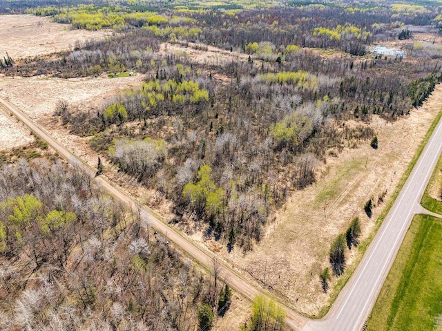 29618 110th Pl, Sturgeon Lake, MN 55783 - drone / aerial view