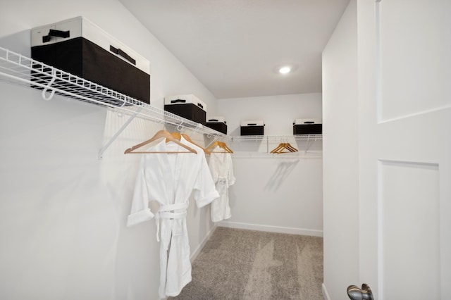 walk in closet featuring carpet flooring