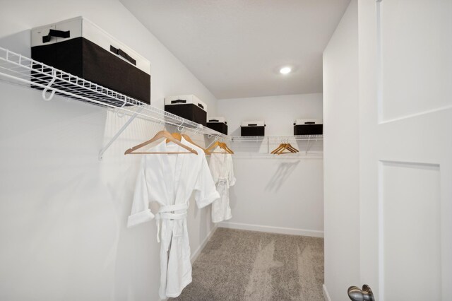 10290 187th Ave, Elk River, MN 55330 - walk in closet featuring carpet flooring