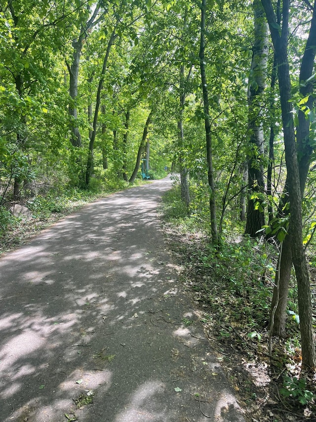 14140 56th Ave N, Plymouth, MN 55446 - view of asphalt street featuring a view of trees