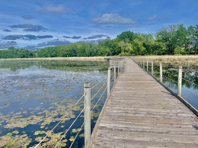 14140 56th Ave N, Plymouth, MN 55446 - dock area featuring a water view