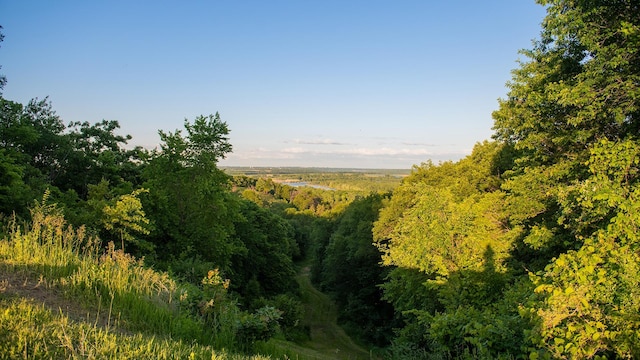 14420 Allerton Way, Rosemount, MN 55068 - view of woods