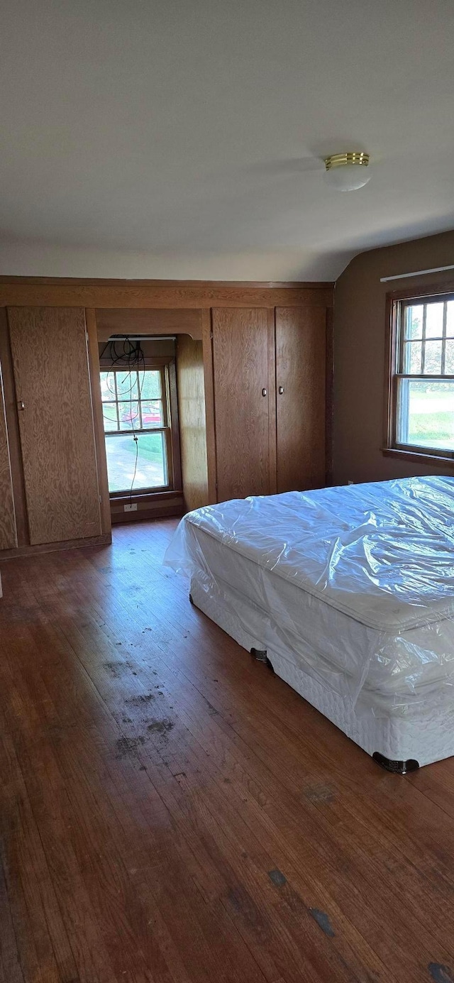 bedroom featuring multiple windows and wood finished floors