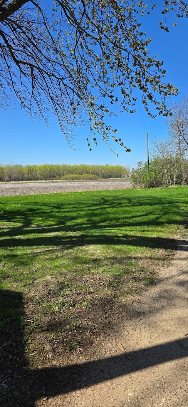 view of grassy yard featuring a rural view