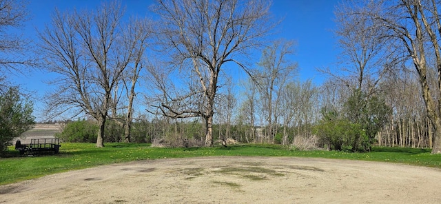 view of grassy yard