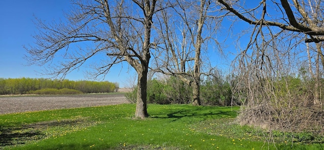 view of community with a yard