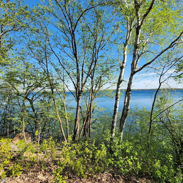 TBD Knollwood Ln, Dunn Twp, MN 56572