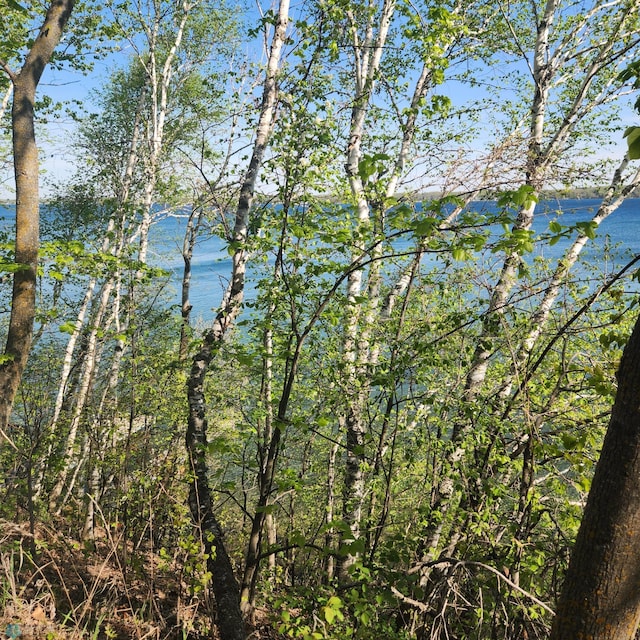 TBD Knollwood Ln, Dunn Twp, MN 56572