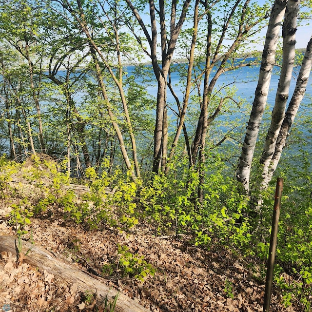 TBD Knollwood Ln, Dunn Twp, MN 56572