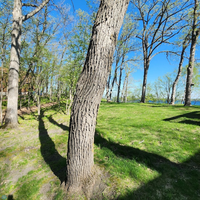 TBD Knollwood Ln, Dunn Twp, MN 56572