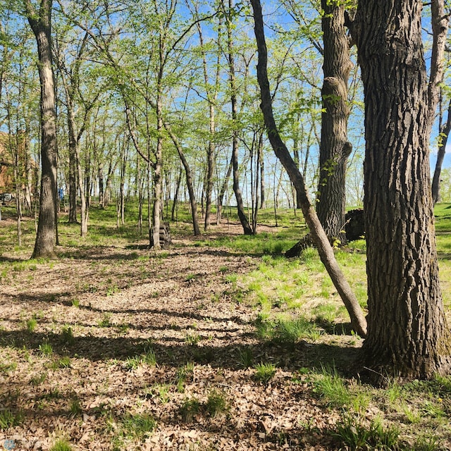 TBD Knollwood Ln, Dunn Twp, MN 56572